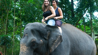 Kodanad Elephant Camp