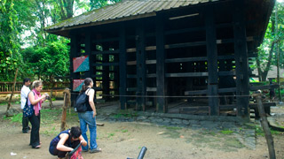 Kodanad elephant training centre