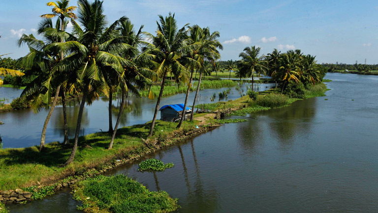 Some other must sees / must feels of Kochi