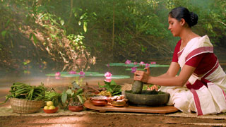 Come to Kerala - Experience the ancient way of healing
