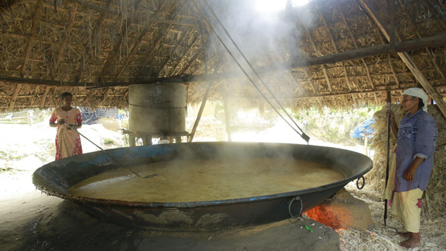 Life in Kanthalloor